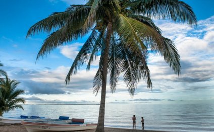 Photo of Belize property as