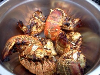 Belize lobster season
