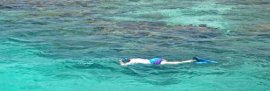 Belize Snorkeling