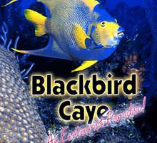 Blackbird Caye Resort
