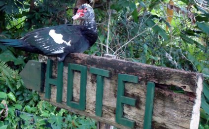 Cheap Vacations to Belize