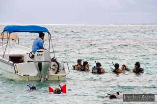 Diving in Belize is one of the main reasons why tourist visit Ambergris Caye.