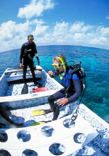 Even the short, half-day course allows you to dive The Wall!