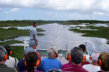 Exploring Belizean wetlands via airboat.