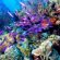 Belize City Scuba