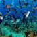 Belize City Scuba Diving