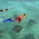 Where to Snorkeling in Belize?