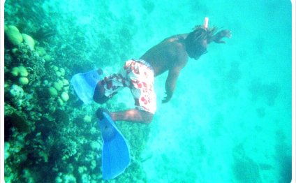 Snorkeling in Belize City