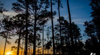 Mountain Pine Ridge in Belize