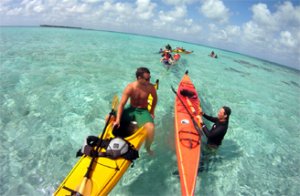 Out at Glover's Reef, we snorkel from the kayaks every day