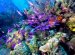 Belize City Scuba