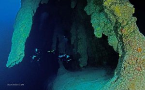Belize City dive shops