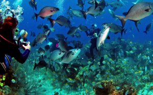 Belize City Scuba Diving