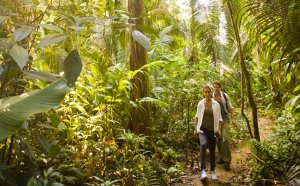 Belize Vacation reviews