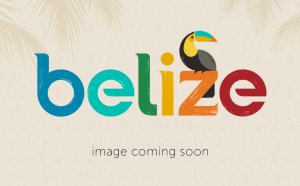 Belize visa Requirements for US citizens