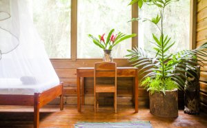 Hotels in Belmopan, Belize