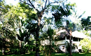 Tranquility Lodge Belize