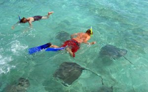 Where to Snorkeling in Belize?