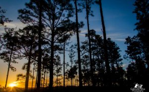 Where to Travel in Belize?