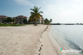 Seaweed wäscht regelmäßig auf der schönen weißen Sandstrand (typisch für Belize)