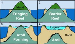The formation of an atoll.