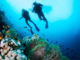 Belize Blue Hole Diving