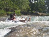 Belize river tubing