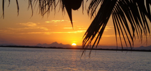 Tobacco Caye Sunset