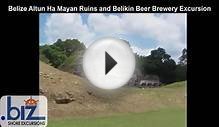 Belize Altun Ha Mayan Ruins and Tropical Jungle Monkey