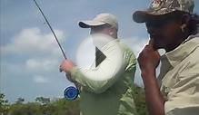 Belize Fly Fishing - Bonefish in the lagoons