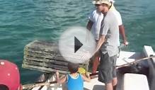 Caye Caulker, Belize, lobster fishing