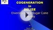 COGENERATION in BELIZE Diversifying the Sugar Cane