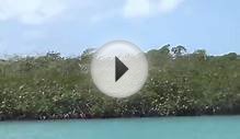 From Belize to Caye Caulker in Water Taxi