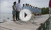 Hotel CAYO ESPANTO Belize Belize