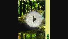 Read Guide to Belize (Bradt Travel Guides) PDF Online