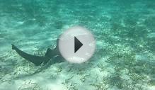 Scuba Diving and Snorkling Cambodia, Belize, Mexico