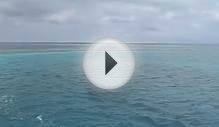 Scuba Diving the Famous Blue Hole of Belize