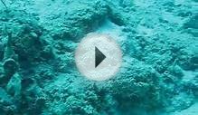 Scuba Diving the Famous Blue Hole of Belize video