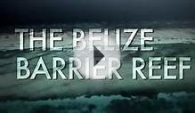 The Belize Barrier Reef