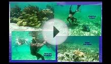 Treasure Cove Belize: Environmental Social Sustainability